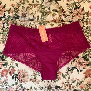 NWT third love chevron mesh underwear